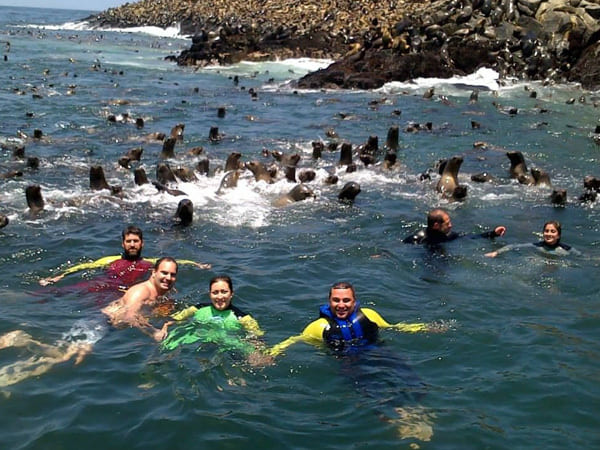 Portada de Swimming with sea lions in Callao