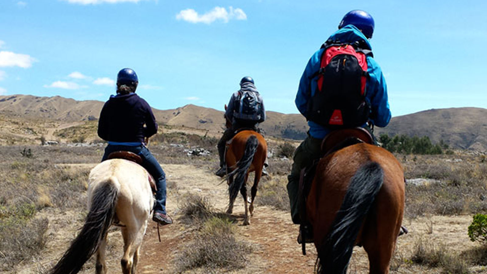 Portada de Tour a cavalo 4 ruinas - Cusco