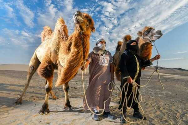 Foto 11 de Tour Dromedarios - Paseo en Camellos Ica