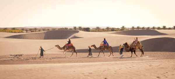 Foto 6 de Tour Dromedarios - Paseo en Camellos Ica