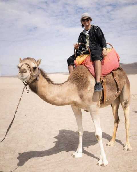 Foto 3 de Tour Dromedarios - Paseo en Camellos Ica