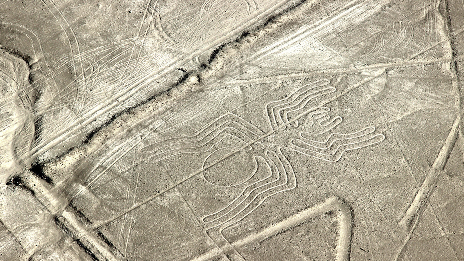 Portada de Sobrevoo as linhas de nasca