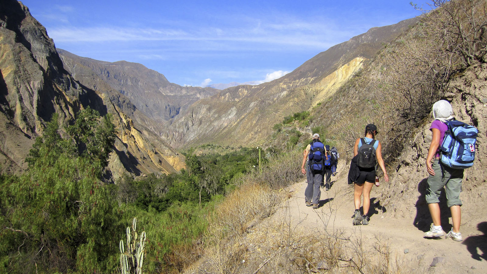 Foto 1 de Colca Canyon Trek 2 dias /1 noite 