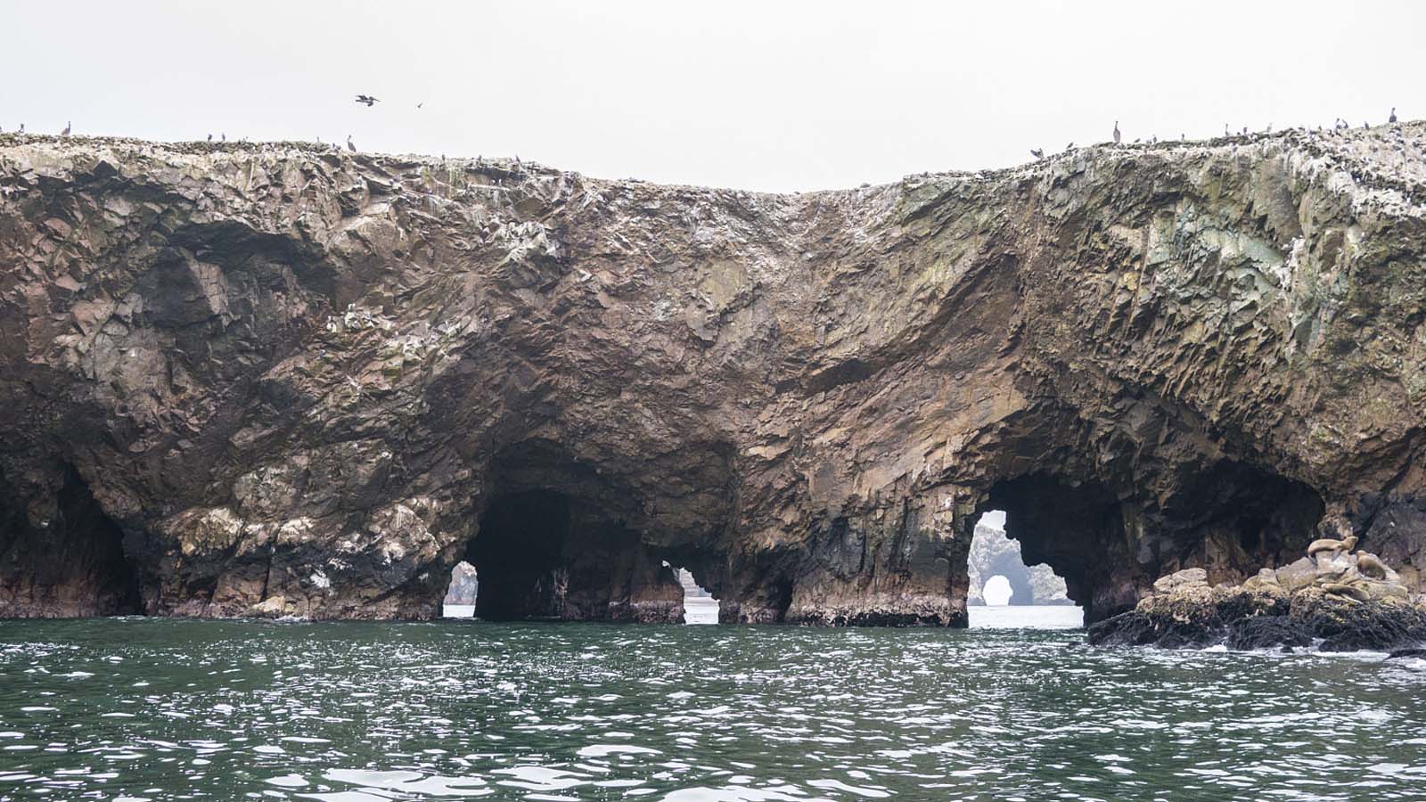 Foto 3 de Reserva de Paracas meio dia