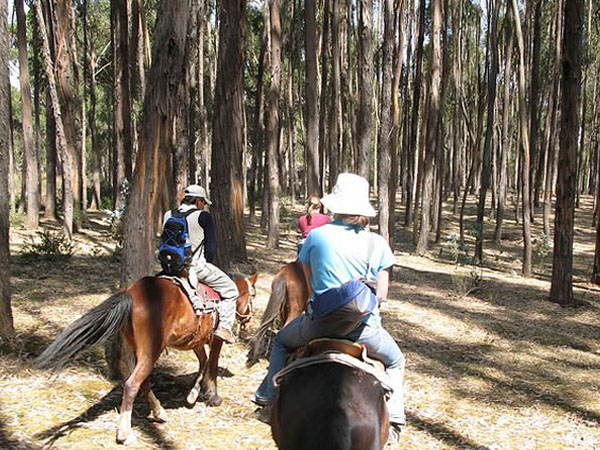 Tour a cavalo 4 ruinas - Cusco