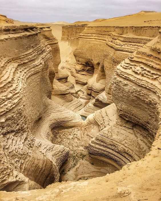 Portada de Explora el Cañon de los Perdidos 