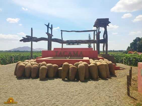 Portada de Tour Ruta del Pisco : Entre Bodegas y Sabores 