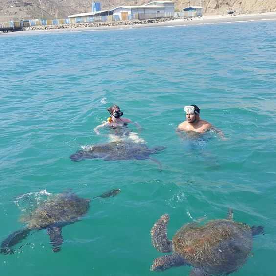 Portada de Swimming with Turtles in Máncora