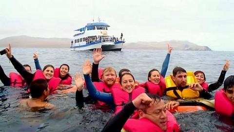 Photo 5 of Swimming with sea lions in Callao