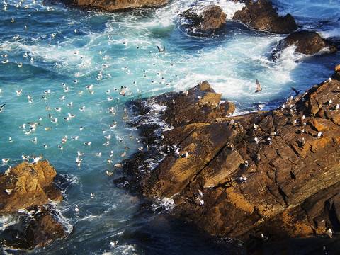 Foto 1 de Tour Tumbes y Mancora avistamiento ballenas y pesca 3 días