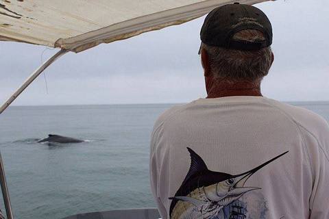 Foto 3 de Tour Tumbes y Mancora avistamiento ballenas y pesca 3 días