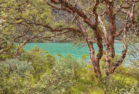 Foto 5 de Visitando las lagunas de Llanganuco