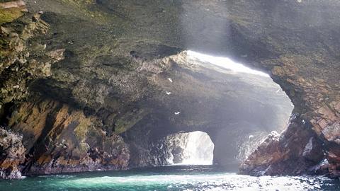 Photo 2 of Ballestas Islands and Paracas Reserve full day Tour
