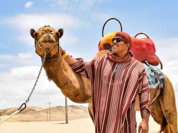 Foto 1 de Tour Dromedarios - Paseo en Camellos Ica