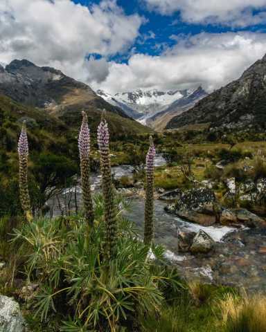 Foto 4 de Chiclayo, Trujillo y Huaraz 4 dias