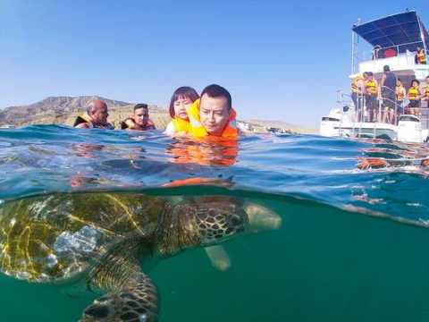 Foto 1 de Nado con Tortugas en Mancora