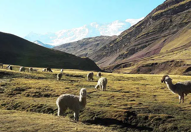 Montaña de 7 colores (Vinicunca)