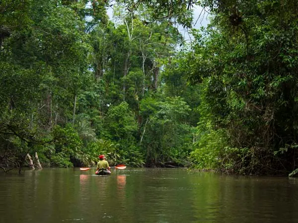 Manu 5 days / 4 nights 