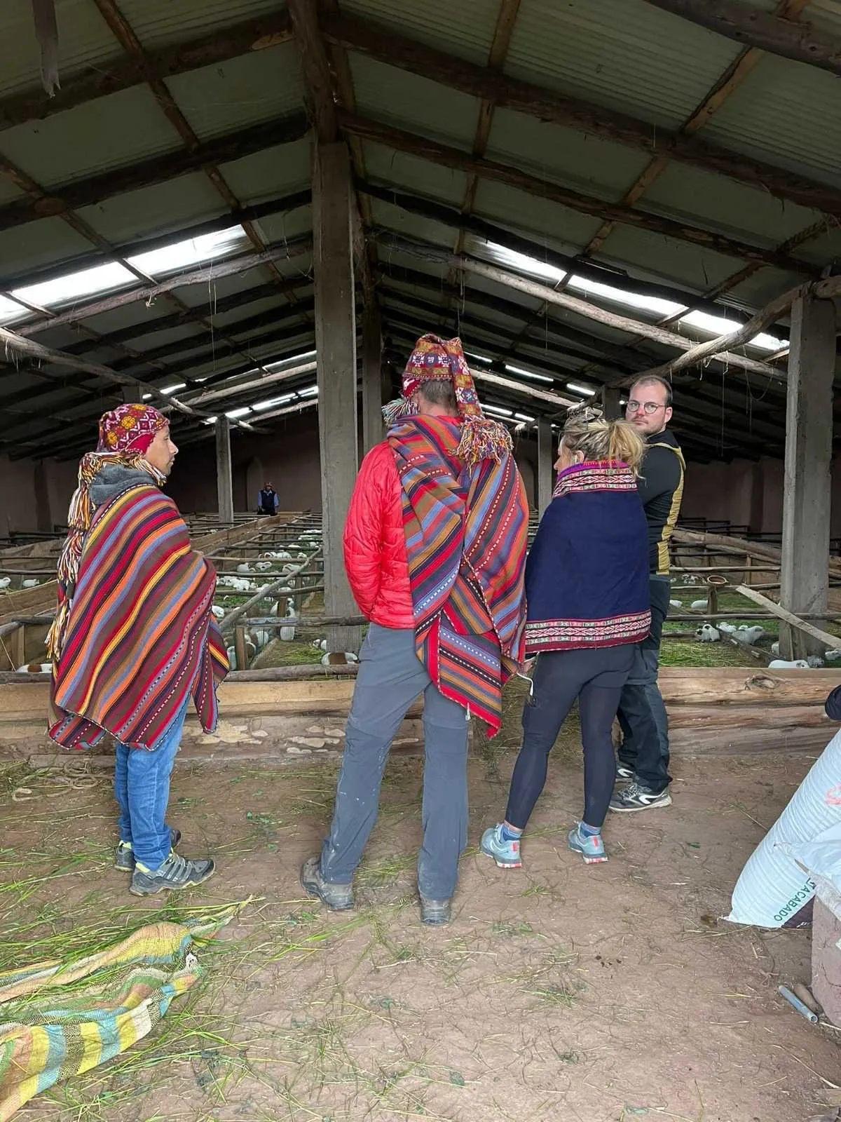 Ccorccor Cultural Immersion: Authentic Andean Traditions and Sustainable Tourism